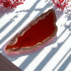 Red Agate Geode Slice 3.25” Natural Stone Boho Decor Crystal Display